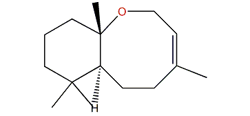 Arenaran A